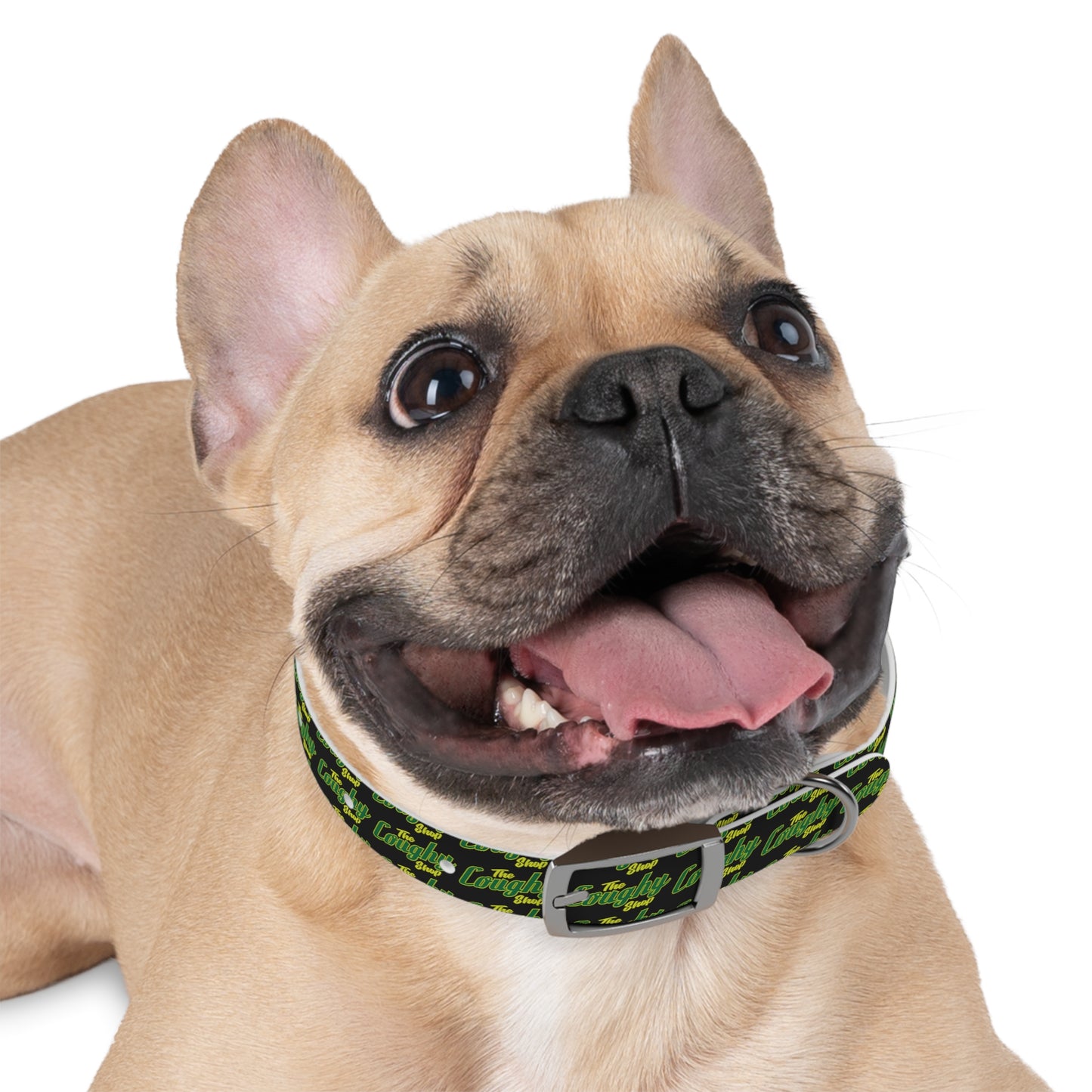 The Coughy Shop Dog Collar